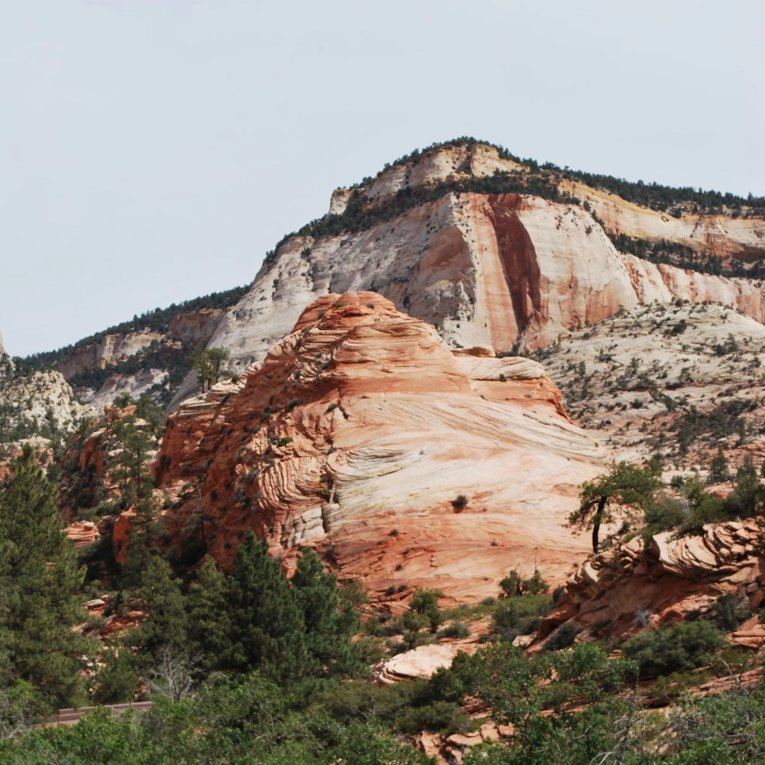 Orange and tan striped rock formations at Zion National Park