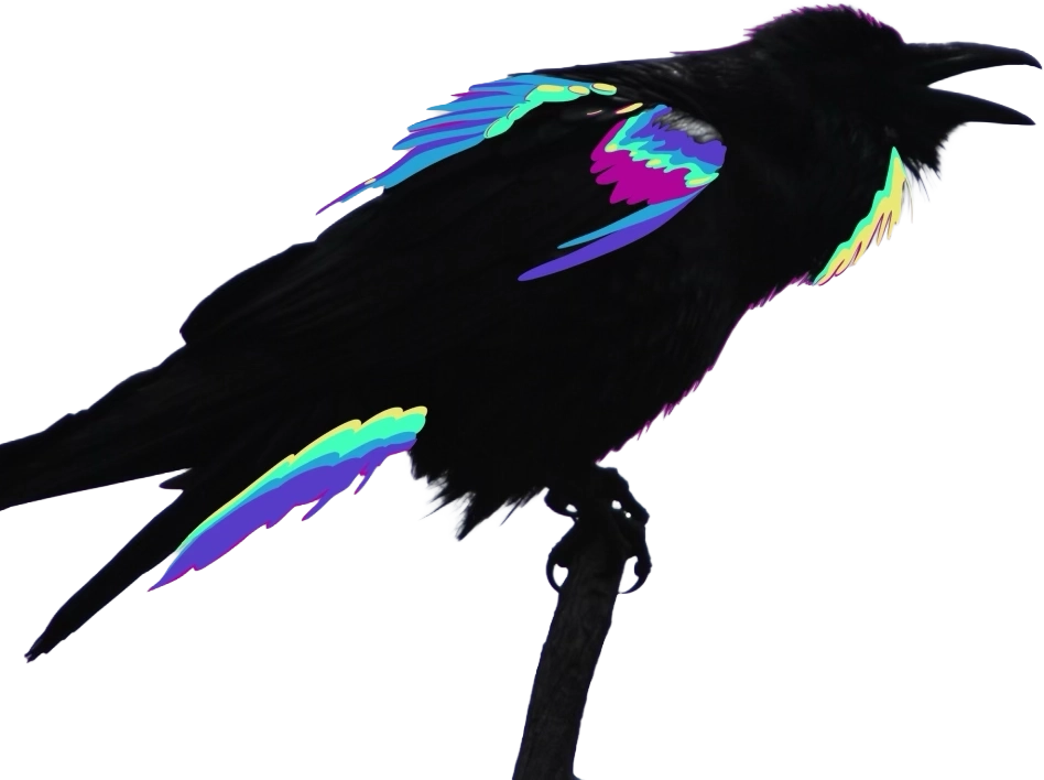 Silhouette of a perched raven calling. Some of its feathers have been colored over in rainbow hues, alluding to the ultraviolet colors of the raven's feathers.